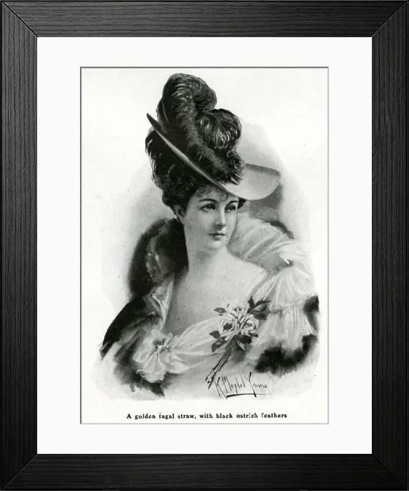 Framed Print : Womens straw hat with ostrich feather 1905