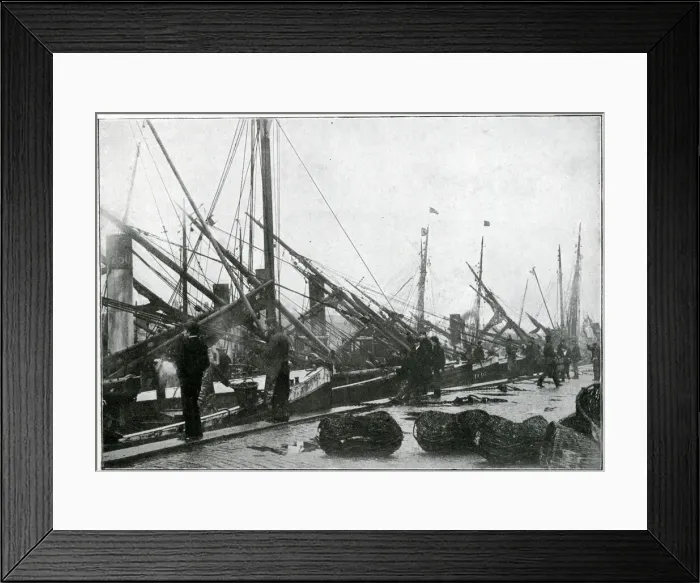 Framed Print : Quay at Great Yarmouth - Herring Harvest 1905 Framed Print : Quay at Great Yarmouth - Herring Harvest 1905