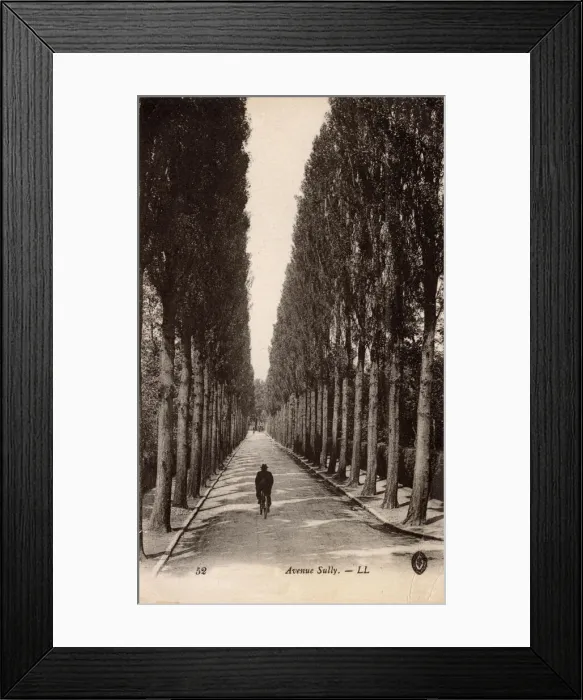 Framed Print : Tree-lined Avenue Sully, France Framed Print : Tree-lined Avenue Sully, France