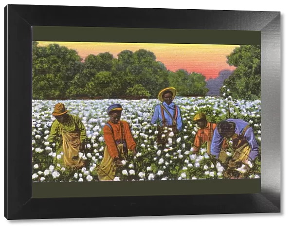 Postcard booklet, workers in the cotton fields, USA