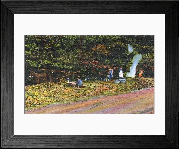 Framed Print : Postcard booklet, making syrup, Dixieland, USA Framed Print : Postcard booklet, making syrup, Dixieland, USA