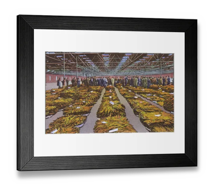Framed Print : Postcard booklet, selling bright leaf tobacco, USA Framed Print : Postcard booklet, selling bright leaf tobacco, USA