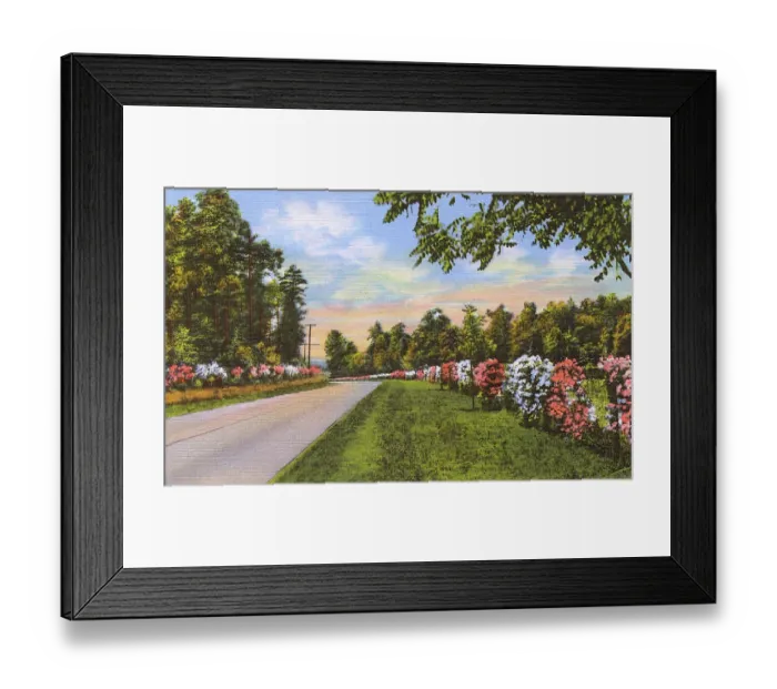 Framed Print : Postcard booklet, highway in Dixieland, USA Framed Print : Postcard booklet, highway in Dixieland, USA