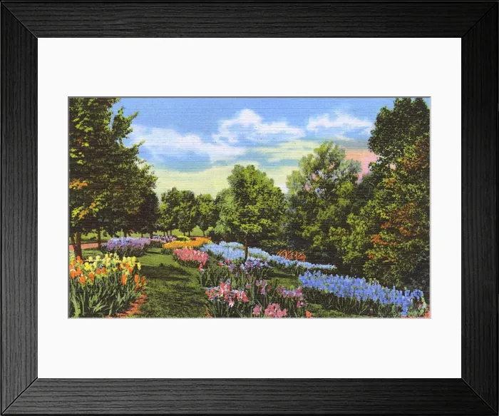 Framed Print : Postcard booklet, spring flowers, Dixieland, USA Framed Print : Postcard booklet, spring flowers, Dixieland, USA