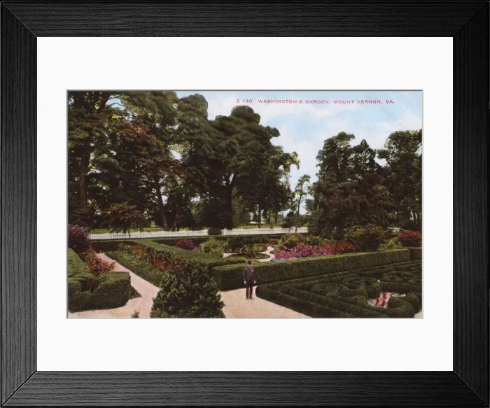 Framed Print : Garden at Washingtons Mansion, Mount Vernon, Virginia, USA Framed Print : Garden at Washingtons Mansion, Mount Vernon, Virginia, USA