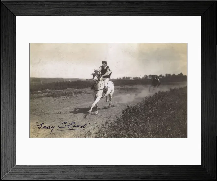 Framed Print : Racehorse, Gray Cloud, Alberta, Canada Framed Print : Racehorse, Gray Cloud, Alberta, Canada