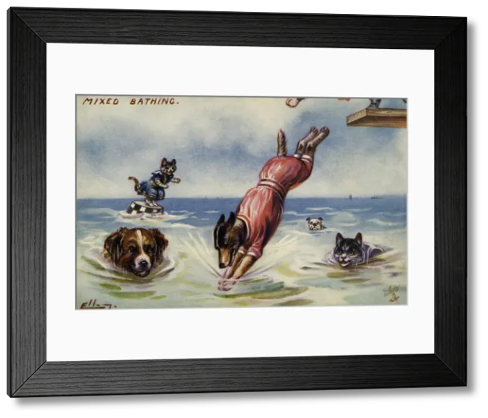 Framed Print : Mixed bathing Framed Print : Mixed bathing
