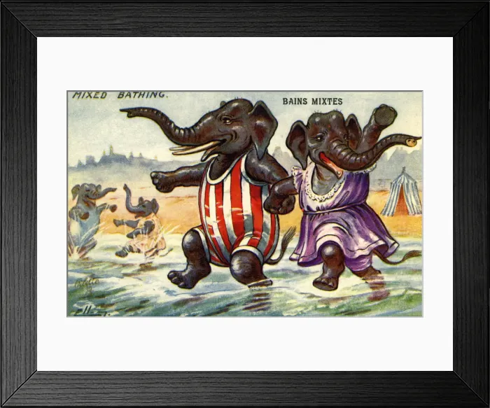 Framed Print : Mixed bathing Framed Print : Mixed bathing