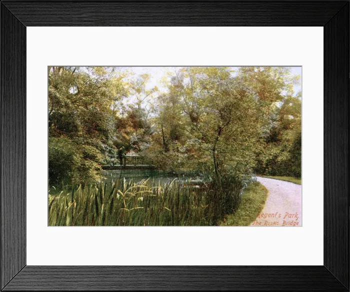 Framed Print : Rustic Bridge, Regents Park, London Framed Print : Rustic Bridge, Regents Park, London