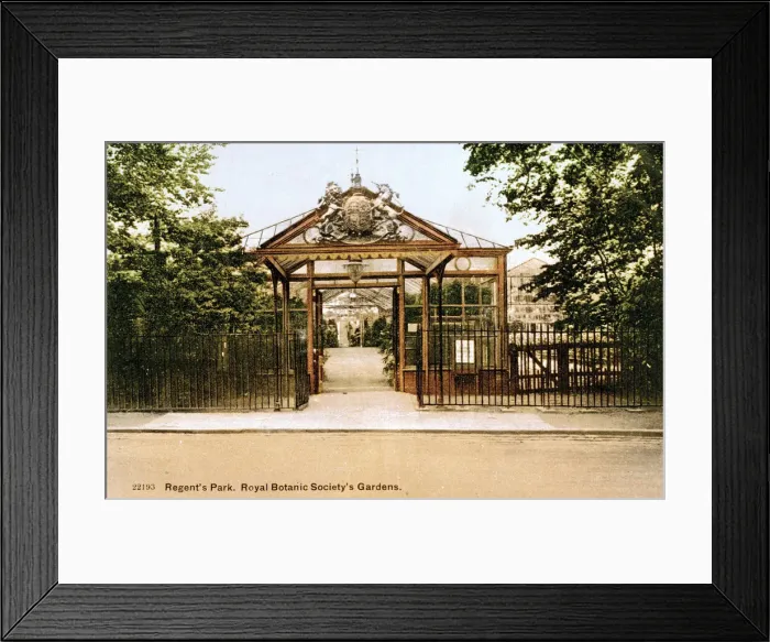 Framed Print : Royal Botanic Society Gardens, Regents Park, London Framed Print : Royal Botanic Society Gardens, Regents Park, London
