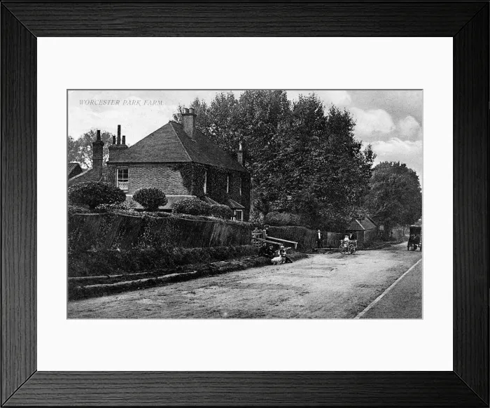 Framed Print : Worcester Park Farm, SW London (Surrey) Framed Print : Worcester Park Farm, SW London (Surrey)