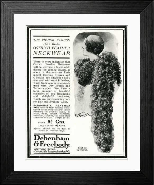 Framed Print : Advert for Peter Robinson ostrich feather neckwear 1924 Framed Print : Advert for Peter Robinson ostrich feather neckwear 1924