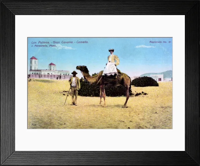 Framed Print : Woman on a camel, Las Palmas, Canary Islands Framed Print : Woman on a camel, Las Palmas, Canary Islands