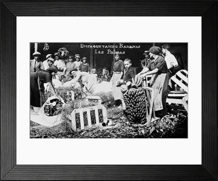 Framed Print : Packing bananas, Las Palmas, Gran Canaria, Canary Islands Framed Print : Packing bananas, Las Palmas, Gran Canaria, Canary Islands