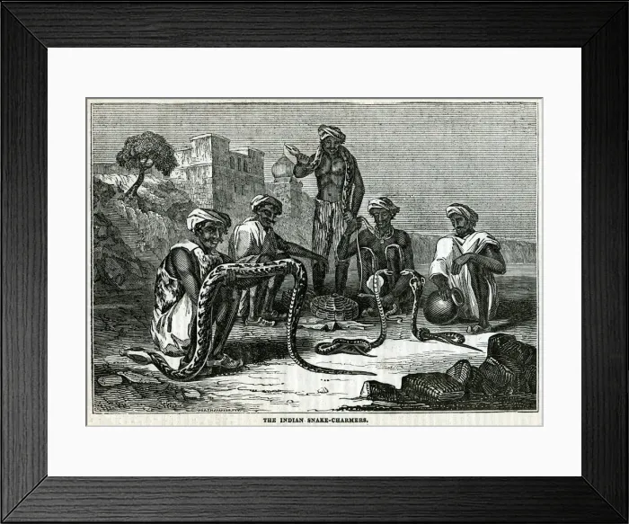 Framed Print : Indian snake-charmers Framed Print : Indian snake-charmers