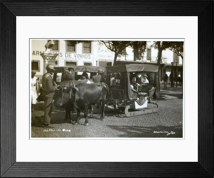 Framed Print : Street scene in Funchal, Madeira Framed Print : Street scene in Funchal, Madeira