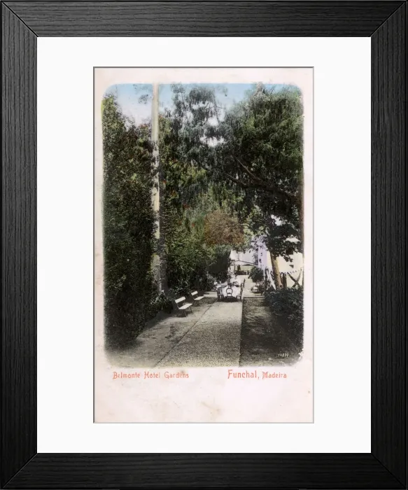 Framed Print : Belmonte Hotel Gardens, Funchal, Madeira Framed Print : Belmonte Hotel Gardens, Funchal, Madeira