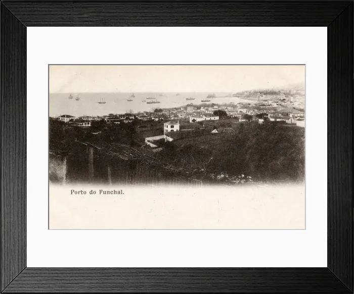 Framed Print : General view of Funchal, Madeira Framed Print : General view of Funchal, Madeira
