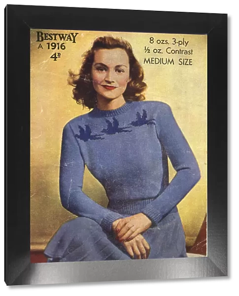 Knitting pattern cover, Womans Fashion Blue Bird Jumper