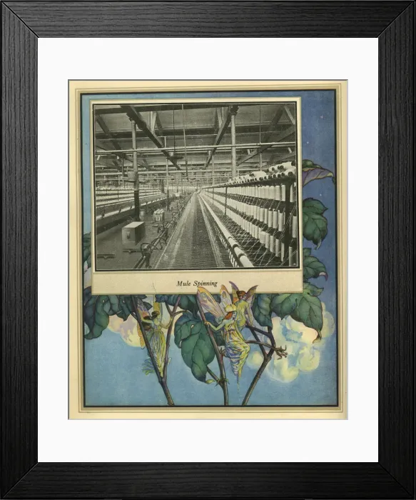 Framed Print : Amalgamated Cotton Mills Trust Ltd, 1920 Framed Print : Amalgamated Cotton Mills Trust Ltd, 1920