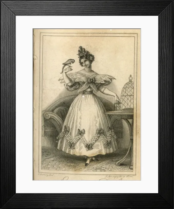 Framed Print : Ladies Fashion -- evening dress Framed Print : Ladies Fashion -- evening dress