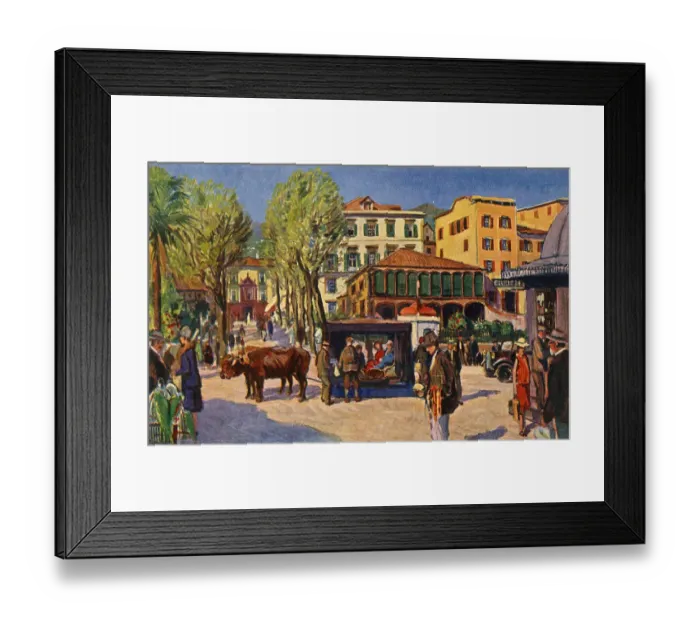 Framed Print : Street scene, entrance to Funchal, Madeira Framed Print : Street scene, entrance to Funchal, Madeira