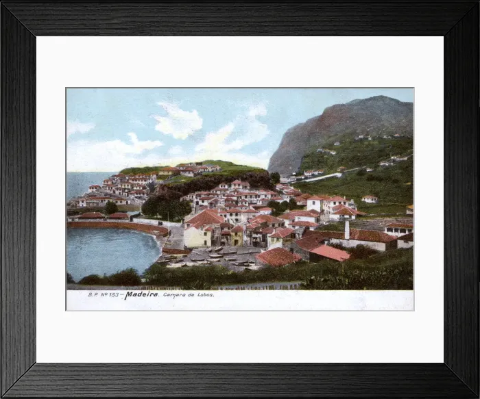Framed Print : Camara de Lobos, near Funchal, Madeira Framed Print : Camara de Lobos, near Funchal, Madeira