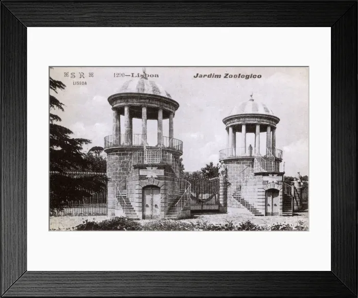 Framed Print : Zoological Garden, Lisbon, Portugal Framed Print : Zoological Garden, Lisbon, Portugal
