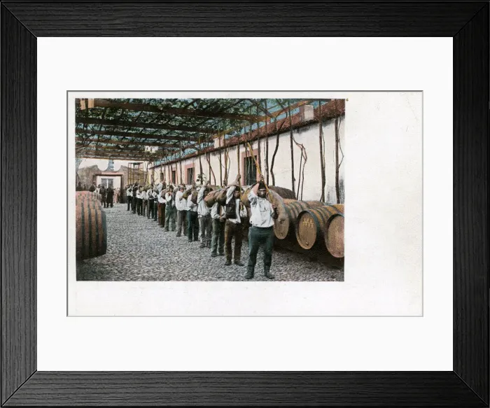 Framed Print : Wine production, Madeira Framed Print : Wine production, Madeira