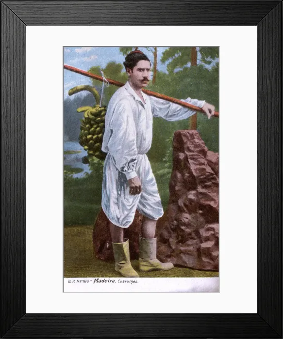 Framed Print : Man in traditional costume, carrying bananas, Madeira Framed Print : Man in traditional costume, carrying bananas, Madeira