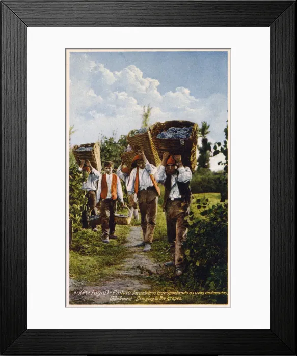 Framed Print : Wine production, Pinhao, Alto Douro, Portugal Framed Print : Wine production, Pinhao, Alto Douro, Portugal