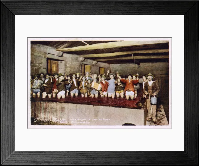 Framed Print : Wine production, Pinhao, Alto Douro, Portugal Framed Print : Wine production, Pinhao, Alto Douro, Portugal