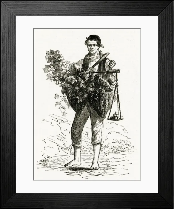 Framed Print : Neapolitan grape seller 1886 Framed Print : Neapolitan grape seller 1886