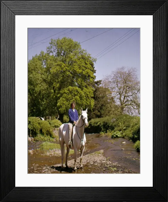 Framed Print : Young woman riding a white horse Framed Print : Young woman riding a white horse
