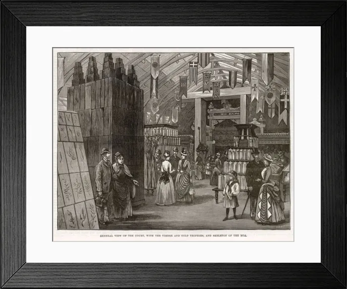Framed Print : New Zealand court at the Colonial & Indian Exhibition