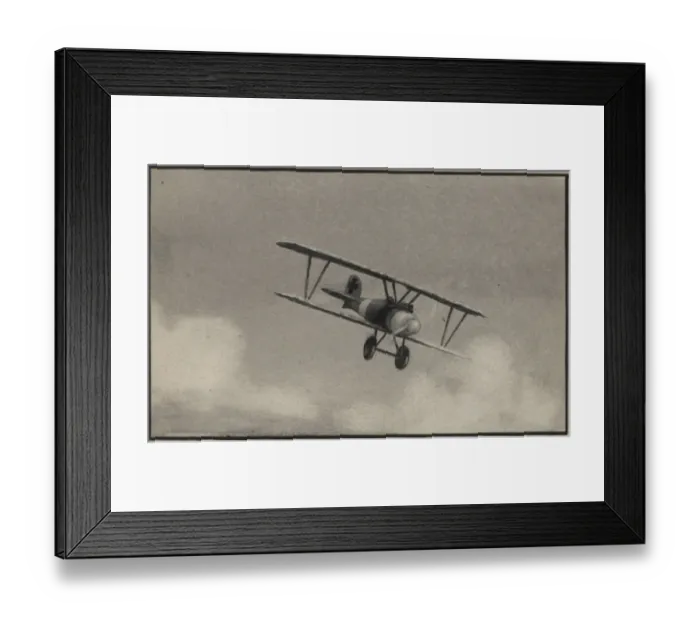 Framed Print : German Albatros D. III biplane, WW1 Framed Print : German Albatros D. III biplane, WW1