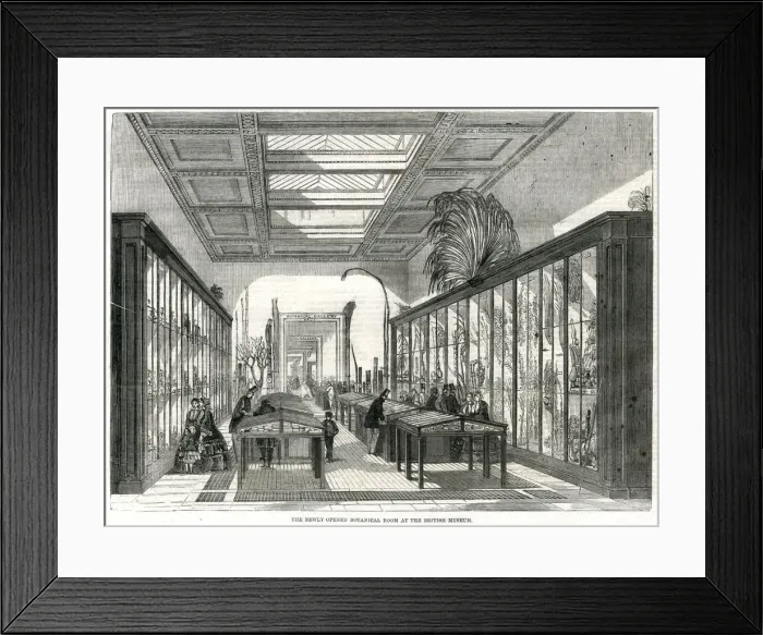 Framed Print : Botanical room, British Museum 1858