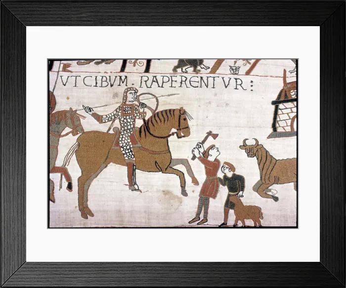 Framed Print : The Bayeux Tapestry - Norman conquest of England Framed Print : The Bayeux Tapestry - Norman conquest of England