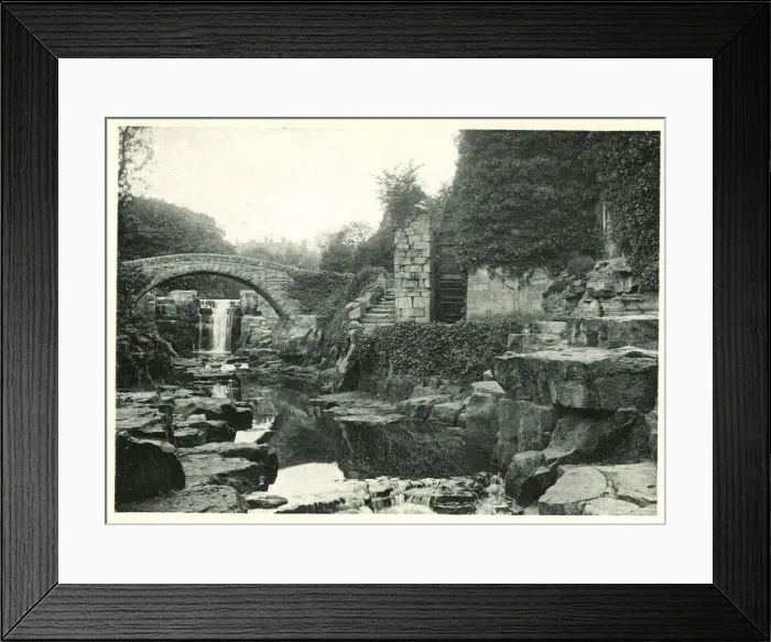 Framed Print : Jesmond Dene, Newcastle-on-Tyne Framed Print : Jesmond Dene, Newcastle-on-Tyne