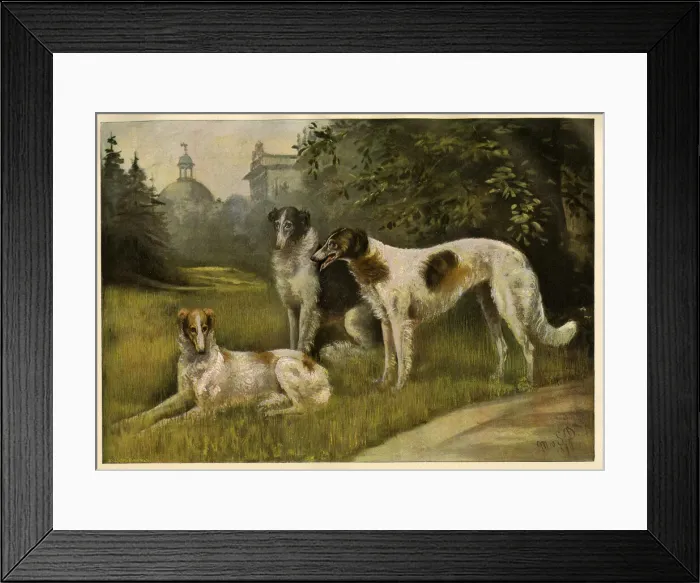 Framed Print : Borzois owned by the Kaiser Framed Print : Borzois owned by the Kaiser