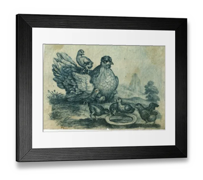 Framed Print : Hen and chicks Framed Print : Hen and chicks