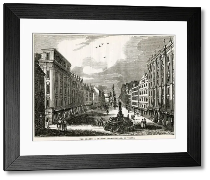 Framed Print : Graben in Vienna