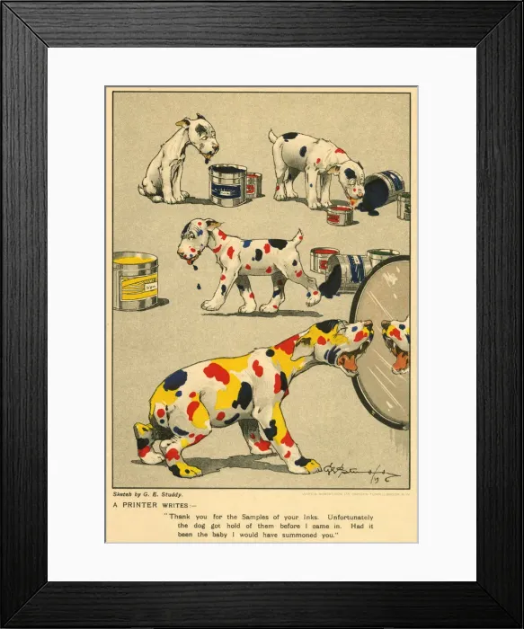 Framed Print : Cartoon advert for Shuck Maclean and Co Ltd Framed Print : Cartoon advert for Shuck Maclean and Co Ltd