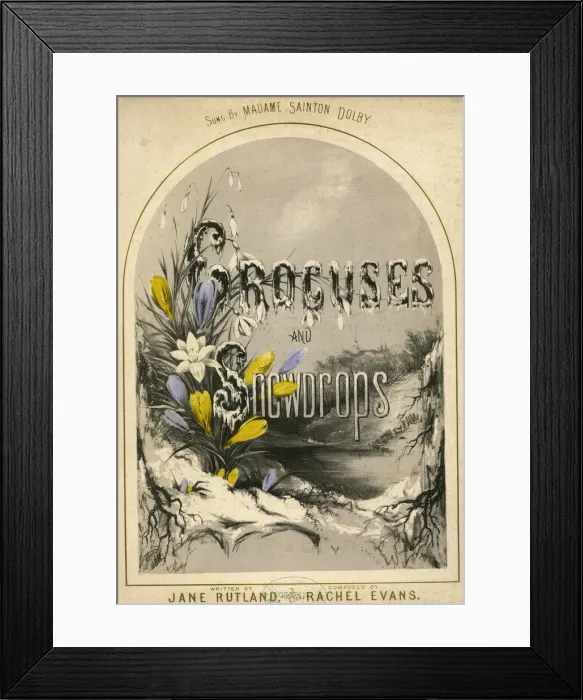 Framed Print : Music cover, Crocuses and Snowdrops Framed Print : Music cover, Crocuses and Snowdrops