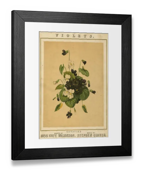 Framed Print : Music cover, Violets, a Cavatina Framed Print : Music cover, Violets, a Cavatina