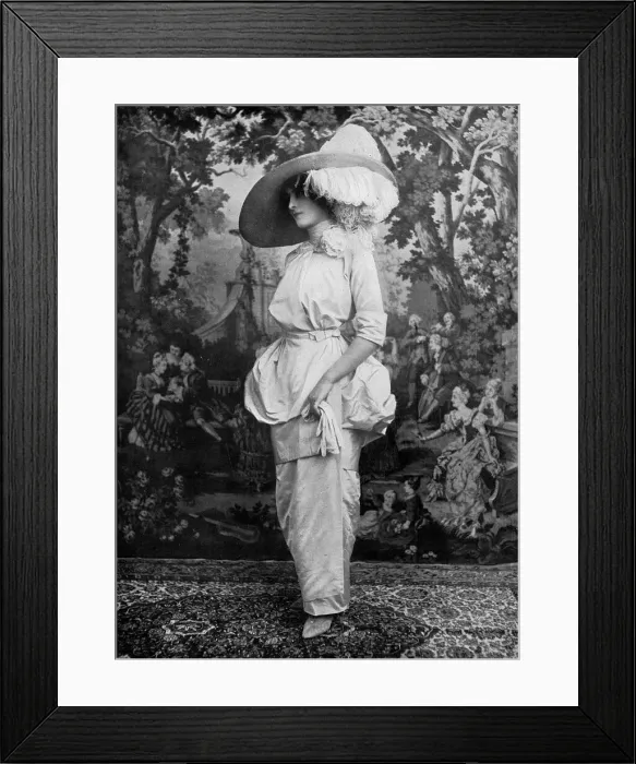 Framed Print : The new Panier dress Framed Print : The new Panier dress