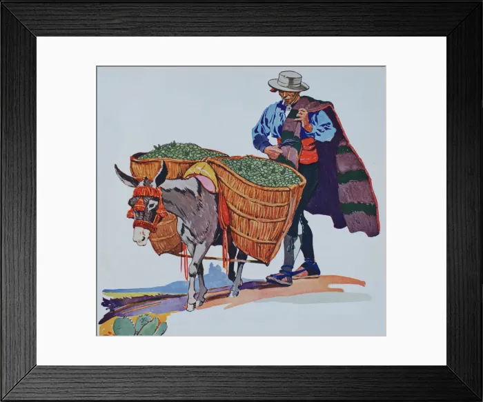 Framed Print : Spanish farmer with burro Framed Print : Spanish farmer with burro