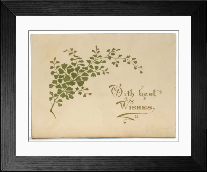 Framed Print : Spray of green leaves on a Christmas card Framed Print : Spray of green leaves on a Christmas card