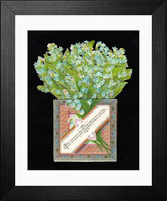 Framed Print : Bunch of forgetmenots on a Christmas card Framed Print : Bunch of forgetmenots on a Christmas card