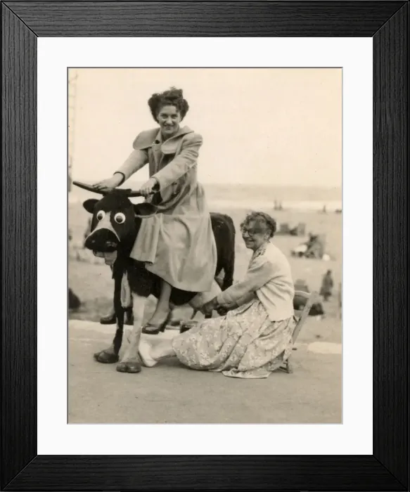 Framed Print : Milking a fake comedy cow at the seaside Framed Print : Milking a fake comedy cow at the seaside